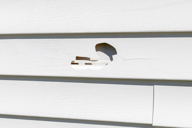 Professional Siding Installation & Repair in Timberline Fernwood, AZ